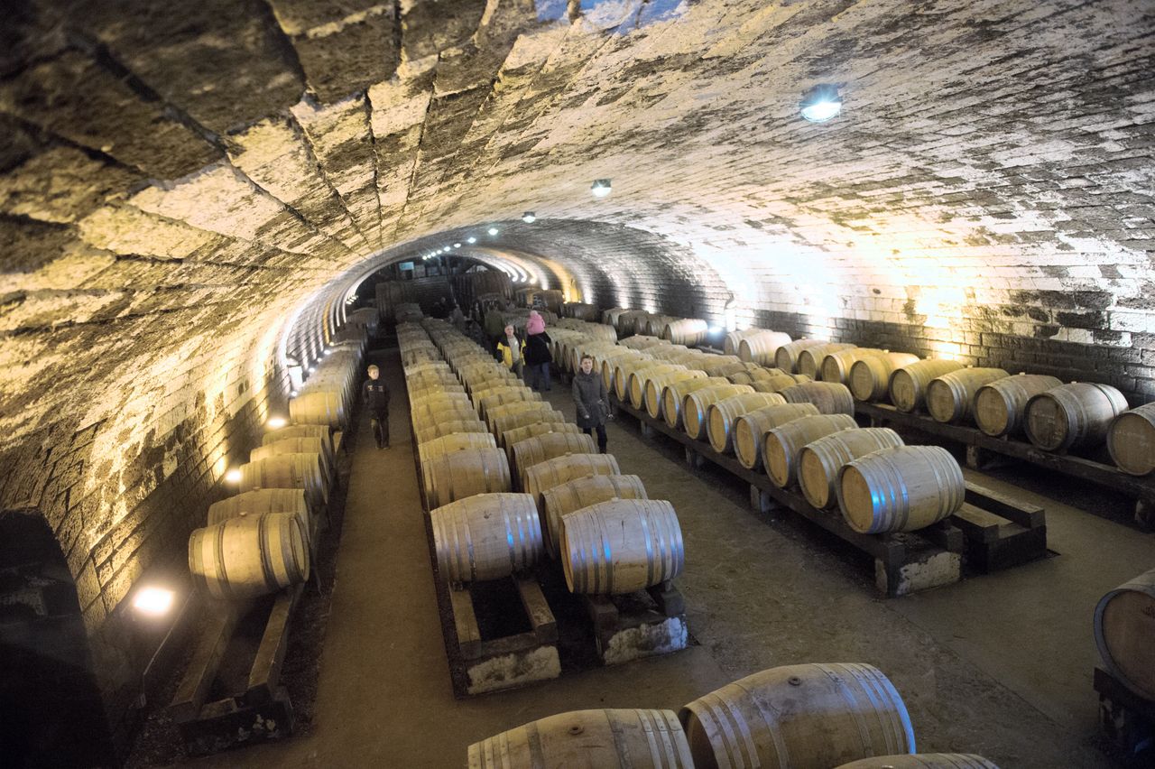 Evenements Nez dans le vert 8000